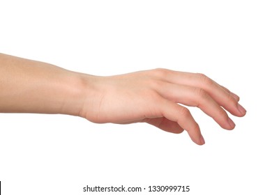 Hands Holding Something On White Background Stock Photo 1330999715 ...