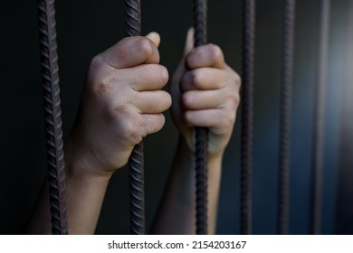 12,489 Human cage Stock Photos, Images & Photography | Shutterstock