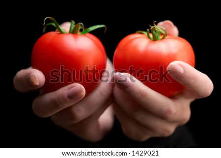 Similar – Tomatenernte, Mann mit frischen Tomaten