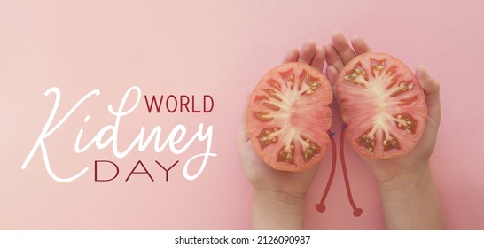 Hands Holding Tomato In Kidney Shape, World Kidney Day Concept
