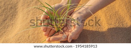 Similar – Image, Stock Photo Dry buds Environment