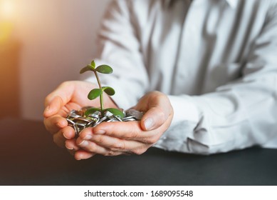 Hands Holding  Tree The Tree Grows On The Money  Pile . Saving Money For The Future. Investment Ideas And Business Growth.