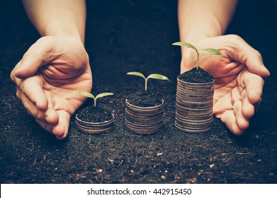 hands holding trees growing on coins / csr / sustainable development / economic growth / trees growing on stack of coins / Business with environmental concern