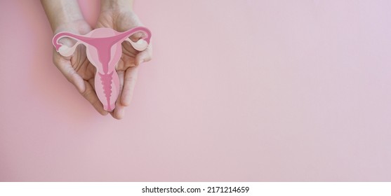 Hands Holding Uterus, Female Reproductive System , Woman Health, PCOS, Gynecologic And Cervix Cancer Concept