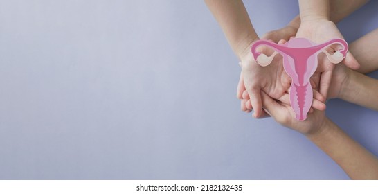 Hands Holding Uterus, Female Reproductive System , Woman Health, PCOS, Gynecologic And Cervix Cancer Concept