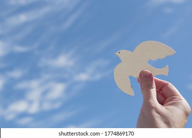 Hands holding white dove bird on blue cirrus cloud sky background, international day of peace, world peace day concept, csr responsible business, animal rights and hope concept