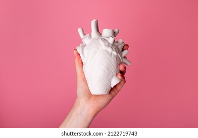 Hands Holding White Heart Organ Model. Health Care Or Organ Donation Concept. Funny Valentines Day.