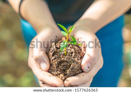 Similar – Image, Stock Photo Dirty boy hands holding small young herbal sprout plant