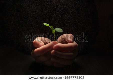 Hands holdings a little green plant On a black background