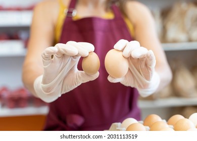 hands holds a double chicken and a guinea fowl egg. Girl seller holds eggs. Different sizes of farm eggs compared. Packing farm products for delivery. Organic harvested eggs