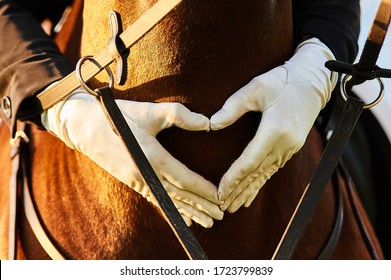 The hands of a horse rider girl in white gloves are folded on the chest of a horse in the shape of a heart - Powered by Shutterstock