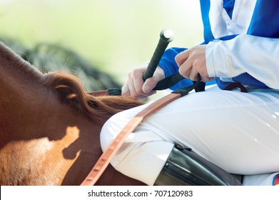 Hands Of A Jockey