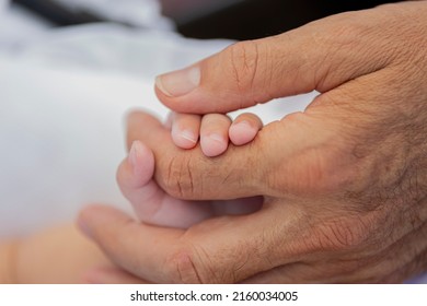 Hands Of A Kid And Grandpa