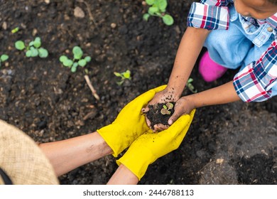 Hands of little African child girl and father holding soil with vegetable seedling in greenhouse garden. Parents and little child kid gardening healthy organic food for sustainable living at farm. - Powered by Shutterstock