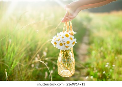 hands of a little girl, holding a knitted bag with a bouquet of daisies in a field, on a sunny day. - Powered by Shutterstock