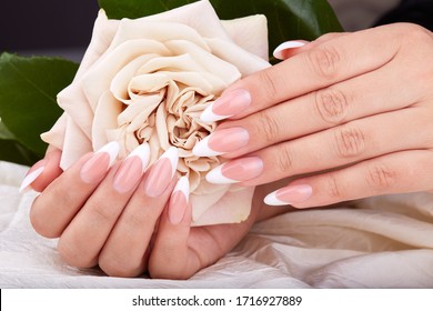 rose french manicured holding