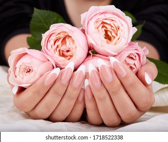 rose nails manicured artificial