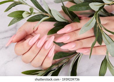 Hands with long artificial manicured nails colored with pink nail polish. Fashion and stylish manicure.