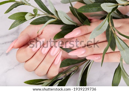 Hands with long artificial manicured nails colored with pink nail polish. Fashion and stylish manicure.