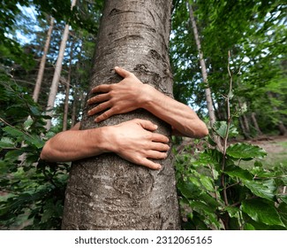 the hands of a man climbing a tree in a lush forest. and in the photo from the front - Shutterstock ID 2312065165