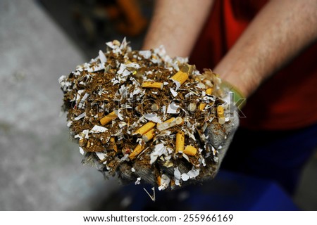Hands of a man holding a heap of destroyed counterfeited cigarettes