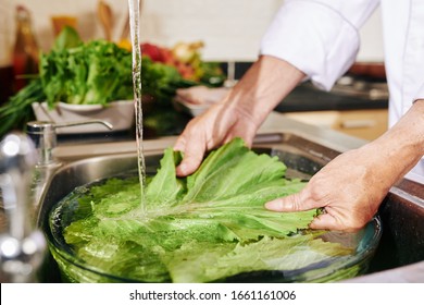 Hands of man washing lettuce in big bowl with water in kitchen sink - Powered by Shutterstock