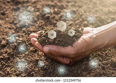 The hands of men are holding the soil rich in all the elements needed to grow plants and have digital icons included. - Shutterstock ID 1212349756