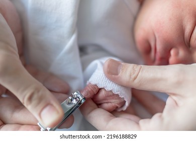 Hands Of A Mom Carefully Trimming The Nails Of Her Newborn Baby While He Sleeps In The Maternity Hospital. Care And Attention To The Health And Body Of The Newborn