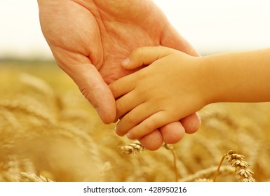 Hands of mother and daughter holding each other on wheat field