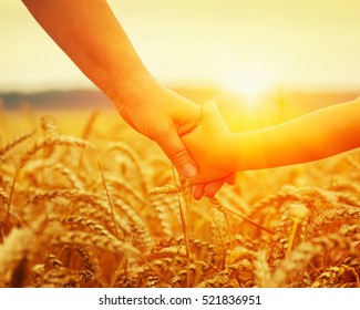 Hands of mother and daughter on sun. Holding each other on wheat field