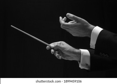 The hands of a music conductor