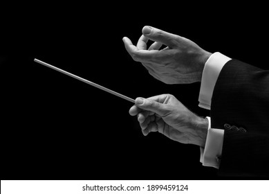 The Hands Of A Music Conductor