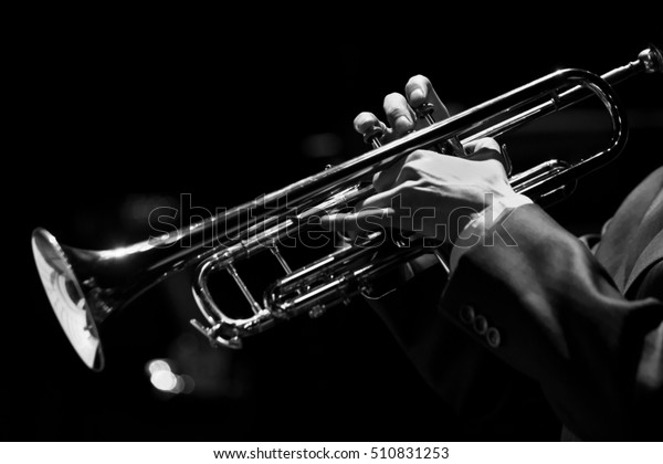 Hands of the musician playing a trumpet closeup in\
black and white