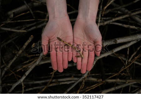 Similar – Foto Bild Weibliche Hände halten Feuerholz für das Lagerfeuer über dem Kohlenhintergrund.