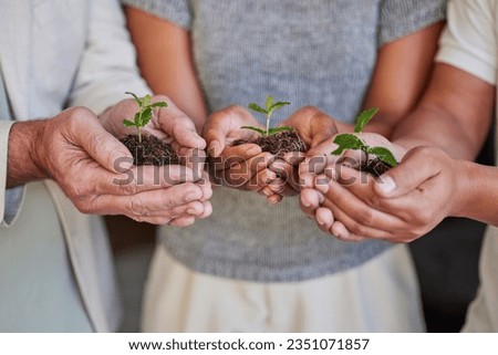 Hands, new plant and palm of business people with climate change help, eco friendly community service and agriculture care. Sustainability commitment, company carbon footprint or team hope for growth