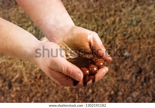 \
in the hands of\
oil