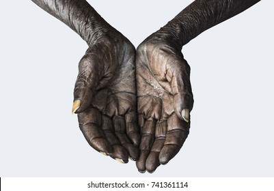 Hands Of The Old Beggar Isolated On White Background, Include Clipping Path