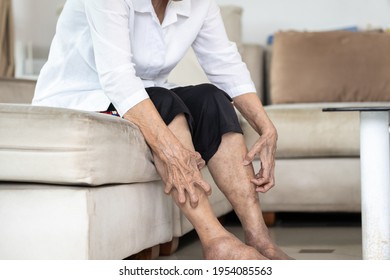 Hands of old elderly scratching legs,itching from mosquitoes,insect bites allergy or dry itchy skin, senior woman suffers from itching on legs,irritation,eczema symptoms,skin problems,skincare concept