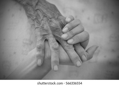 Hands Old Woman Black White Stock Photo (Edit Now) 566336554