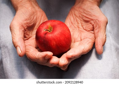 Hands of an old woman holding red apple. The concept of longevity. Seniors day.
