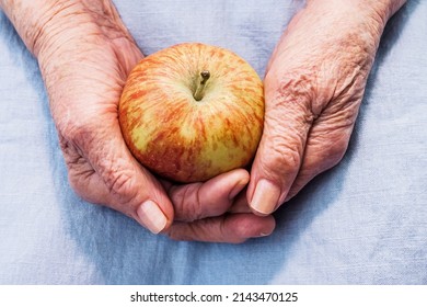 Hands of an old woman holding ripe apple. The concept of longevity. Seniors day.