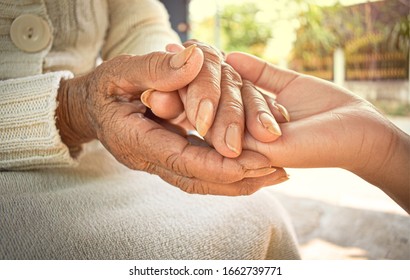  Hands of the old woman and the young woman are close to each other