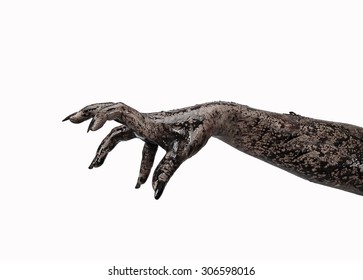 hands on a white background, zombie, demon, maniac, isolated on terror,halloween theme