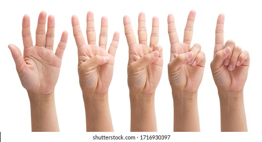 Hands From One To Five On A White Background, Set Number 1 2 3 4 5 With Hand