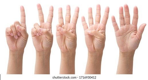 Hands From One To Five On A White Background, Set Number 1 2 3 4 5 With Hand