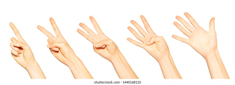 Hands One Two Three Four Five Stock Photo 1440168110 