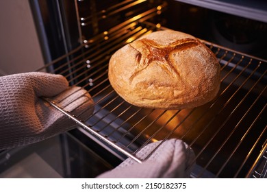 Hands In Oven Mitts Take Freshly Baked Round White Bread Out Of The Oven