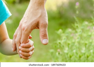 hands of parent and child in nature