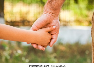 The Hands Of A Parent And Child In The Park