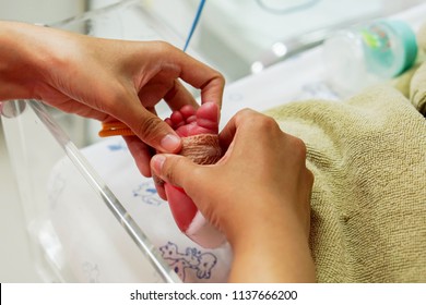 Hands Of Pediatric Nurse Using Medical Adhesive Plaster Stick And Strap To Measure Oxygen In The Blood And See The Oxygen Value For Organs On Crisis Newborn Baby Foots At NICU Wards In The Hospital.